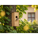 gallery-img